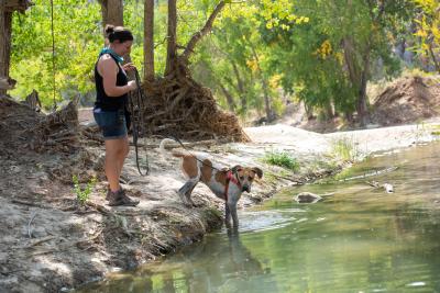 Person out in the woods with a leashed dog by a body of water