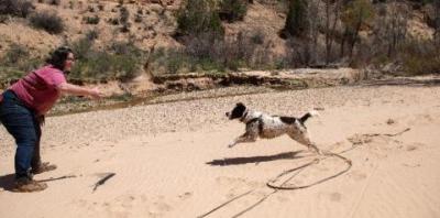 Woman training black and white dog in canyon