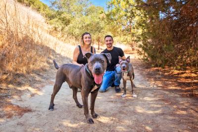 Two smiling people outdoors enjoying a hike with two big dogs