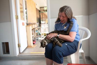 Stannis the cat lying in Leanne Parker's lap as she sits on a chair