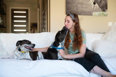 Two dogs on a couch with a person with one of them kissing the face of the person