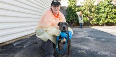 Woman in gown and gloves sitting with gray dog