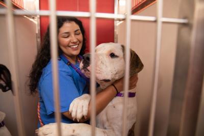 Smiling person inside a kennel interacting with a dog