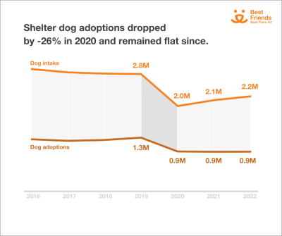 Shelter dog adoptions graphic