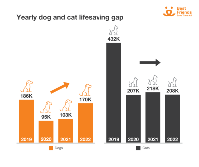 Yearly dog and cat lifesaving gap graphic