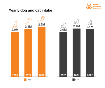 Yearly dog and cat intake chart