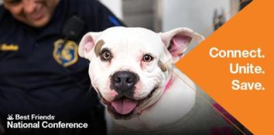 White pit bull type dog with mouth open looking at camera with conference text to the right