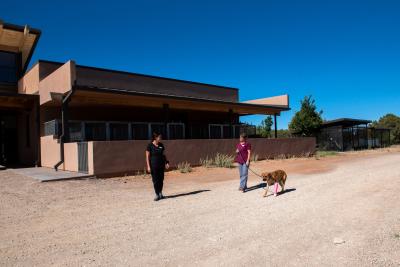 Karigan the dog being walked outside while wearing a pink cast on one of her front legs