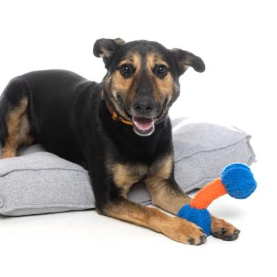 Moose the dog lying on a gray cushion with an orange and blue toy in between his front feet