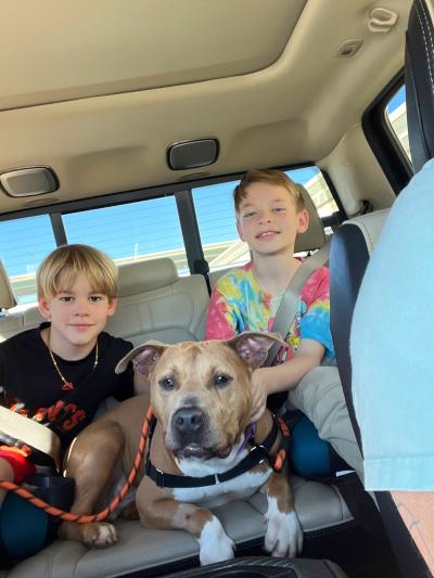 Potato the dog riding in the back seat of a vehicle with two children