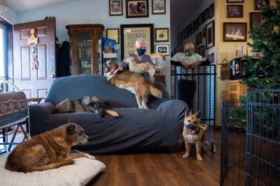 Spearmint Sally, three other dogs and two people in a living room
