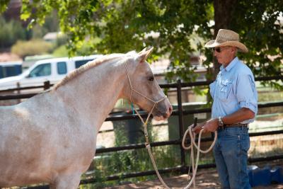 Don with Cassia the horse on a lead