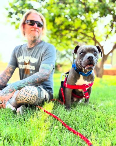 Pepper the dog sitting in green grass next to Aaron