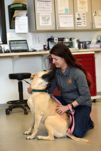 Dr. Erin Katribe kneeling on the floor with a dog