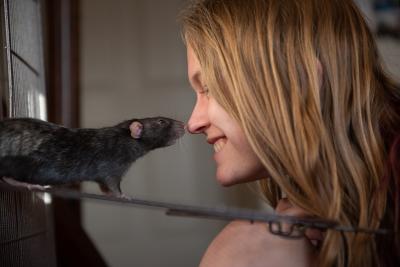 Smiling person nose-to-nose with a pet rat