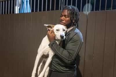 Person holding a white dog as part of a transport