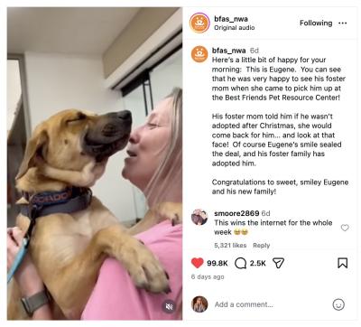 A funny moment turned into a call to adopt.