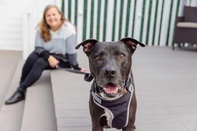 Jill Shaw sitting behind Captain the dog on some steps