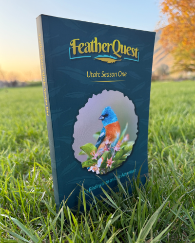 Cover of the book, "FeatherQuest"