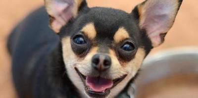 Financial Assistance Information