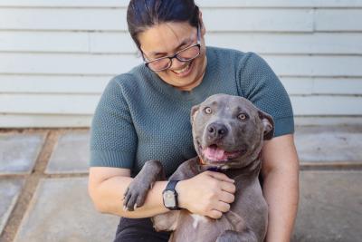 Person hugging a happy gray dog