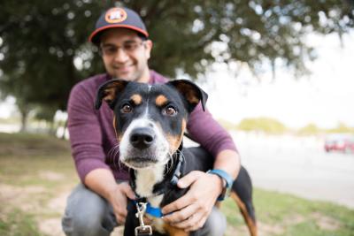 Person wearing a Houston Astros hat with hands around a dog