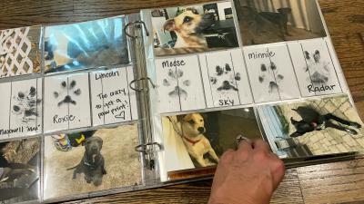 Memory book of the Baumgartner foster dogs