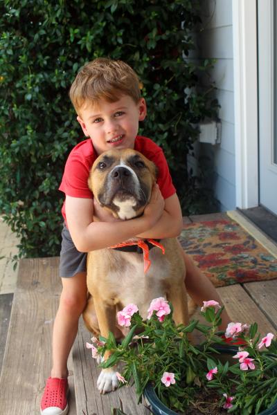 Childing hugging a foster dog with some flowers in front of them