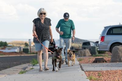Frannie the dog being walked by her foster family, along with another dog
