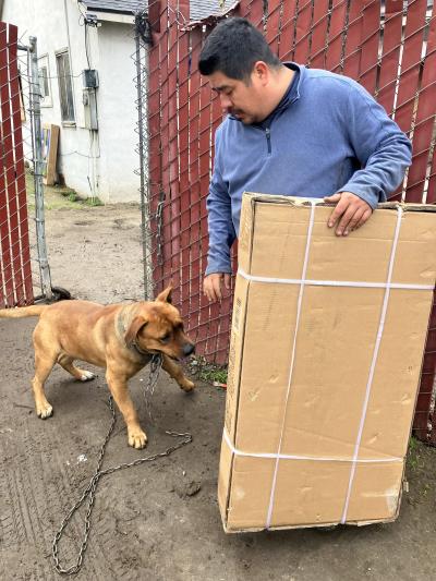 Person holding a boxed dog house next to his dog