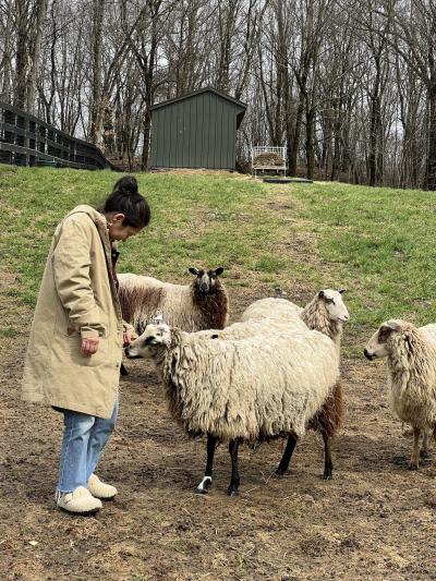 Suzanne Sandrue with sheep