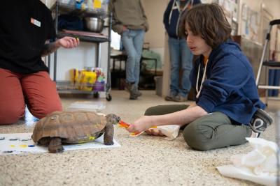 Gavin Spencer feeding a tortoise