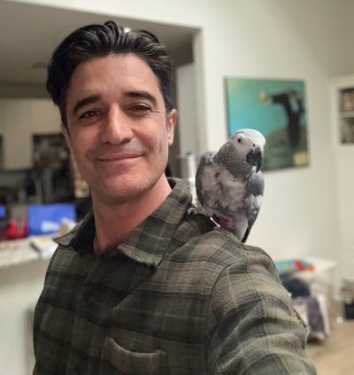 Gilles Marini with Z the rescued African grey parrot on his shoulder