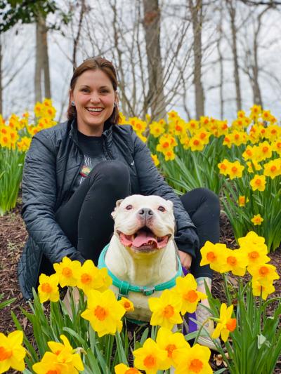 Poptart the dog with a person in a field of daffodil flowers