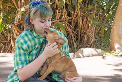 Brown puppy giving love and comfort to an owner so they're nose-to-nose