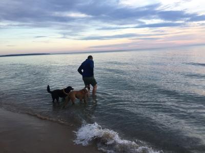 Person in water with two dogs at sunrise or sunset