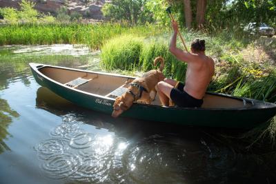 Person paddling a canoe on water with a dog standing up in it looking down into the water
