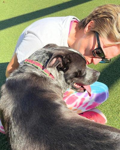 Person giving Rose the dog a kiss