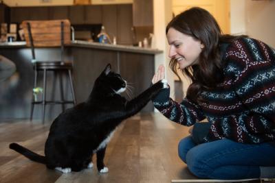 Emily and Hale the cat doing a high five