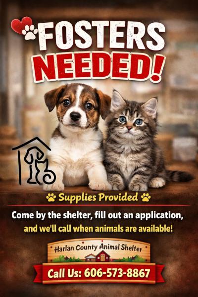 Flyer for Harlan County Animal Shelter to solicit foster homes with an image of a puppy and kitten
