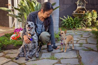 Woman kneeling on the ground with two dogs.