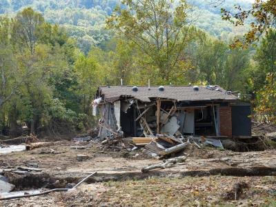 Sister Kitten rescue building damaged following Hurricane Helene