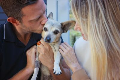 Person kissing a small senior dog while another person pets him