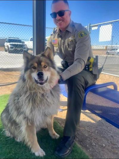 Hesperia Animal Services dog next to a Hesperia police officer