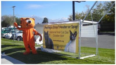 Holly Sizemore dressed up in a big orange Heathcliff cat costume outside beside a giant cat trap