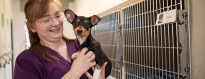 Smiling person holding a small black and tan dog in front of some stainless steel kennels