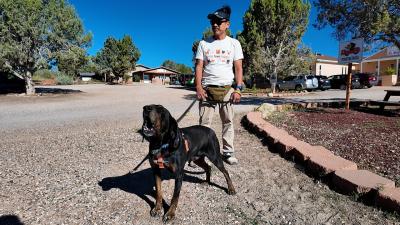 Person walking hound dog who is baying at the Sanctuary