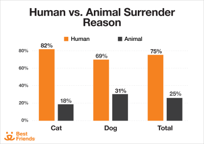 Human vs. Animal Surrender Reason