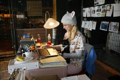Person wearing a hat with ears working on a laptop computer with a cat on her lap