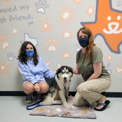Hank the dog with two masked people in front of a Best Friends logo on the state of Texas